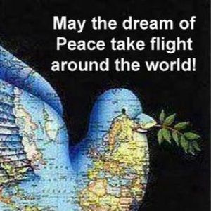 Meet your Posher, Yolanda